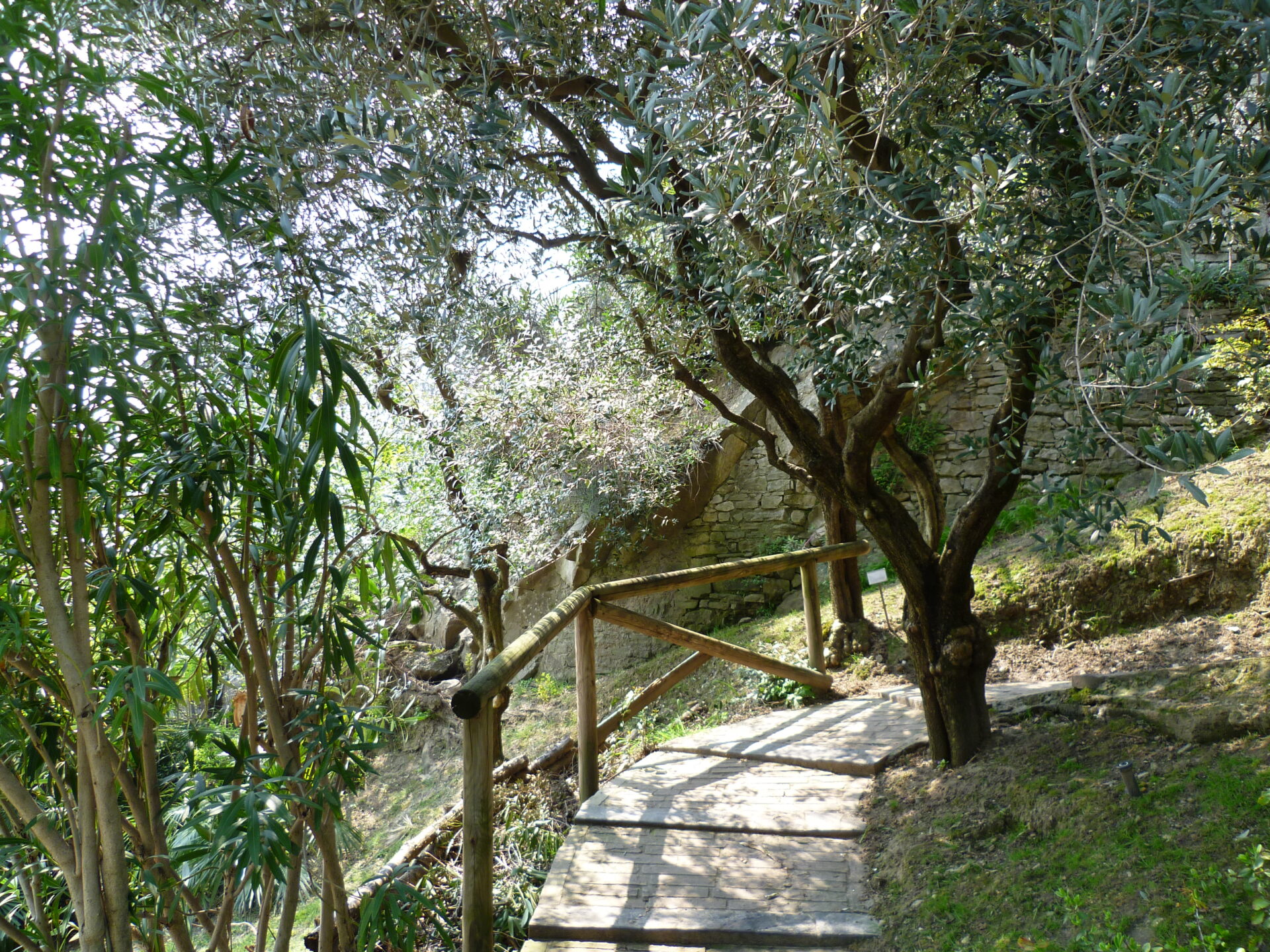 Orto Botanico Lorenzo Rota Bergamo